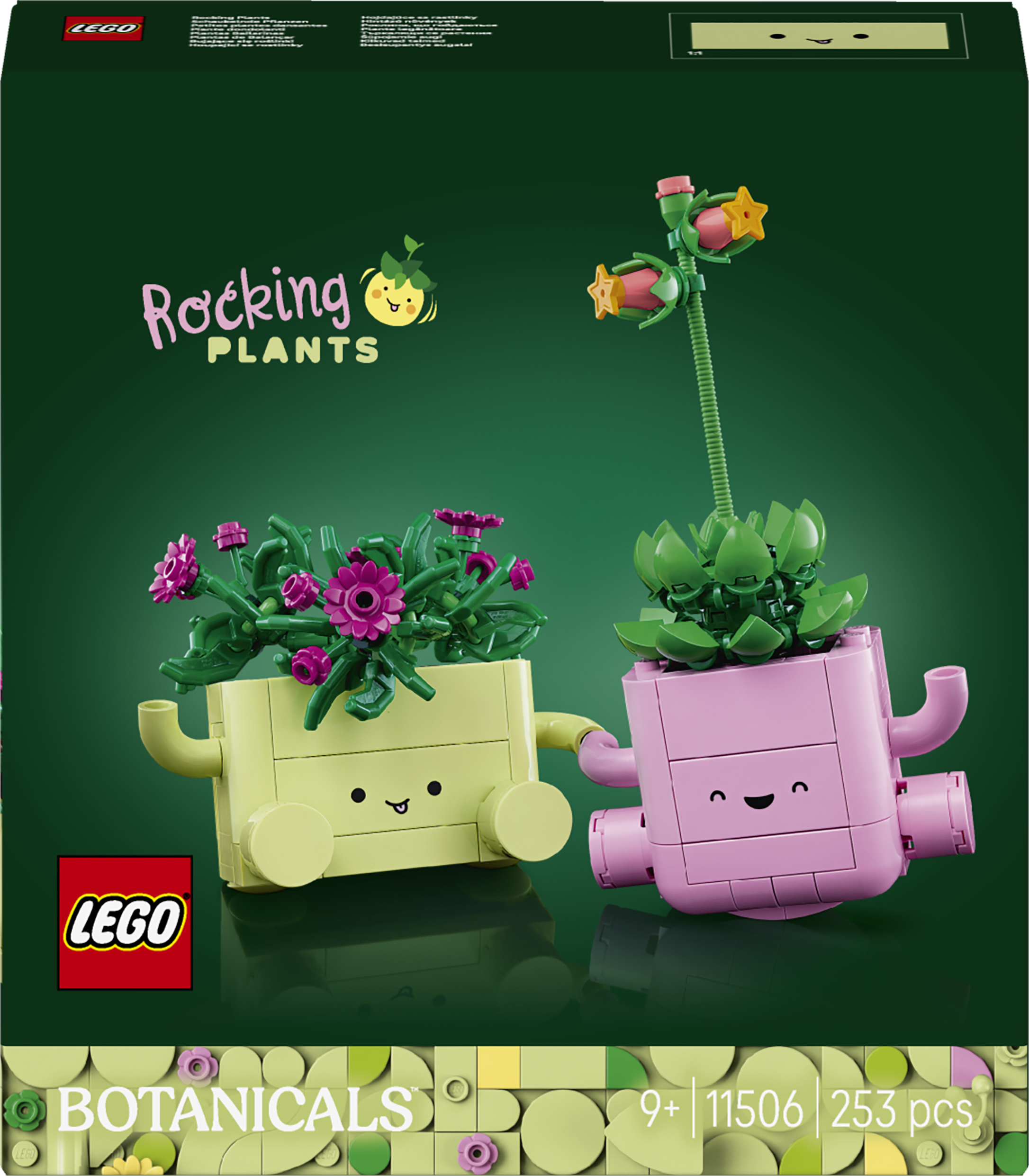 11506 Rocking Plants