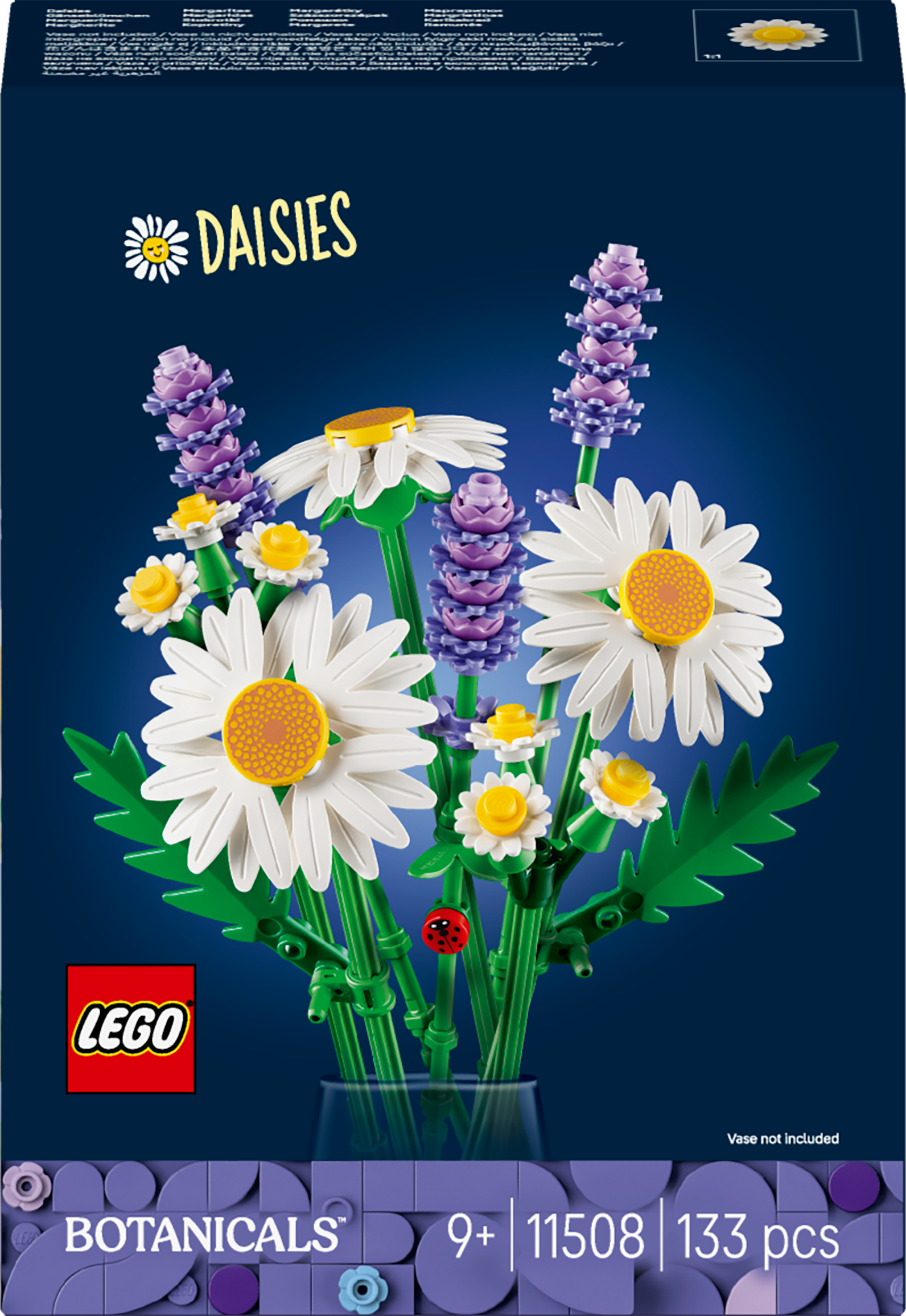 11508 Daisies