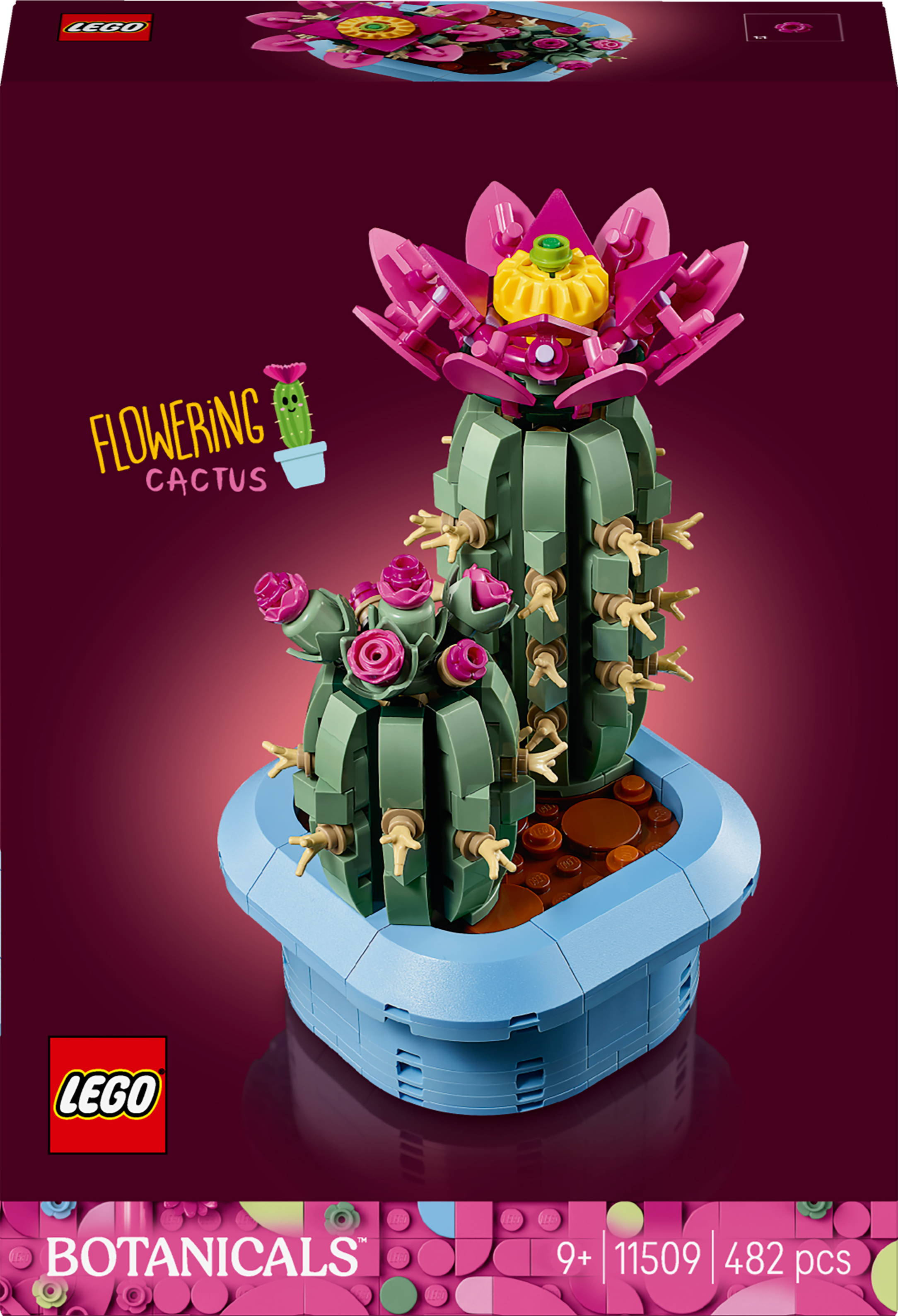 11509 Flowering Cactus