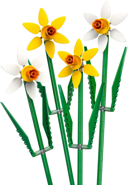 40747  Daffodils