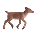 Reindeer Calf | 387188