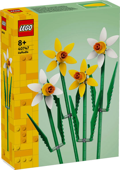 40747  Daffodils