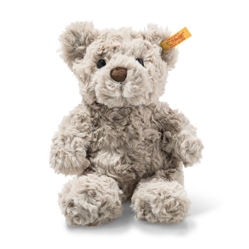 honey teddy