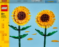 40524 Sunflowers