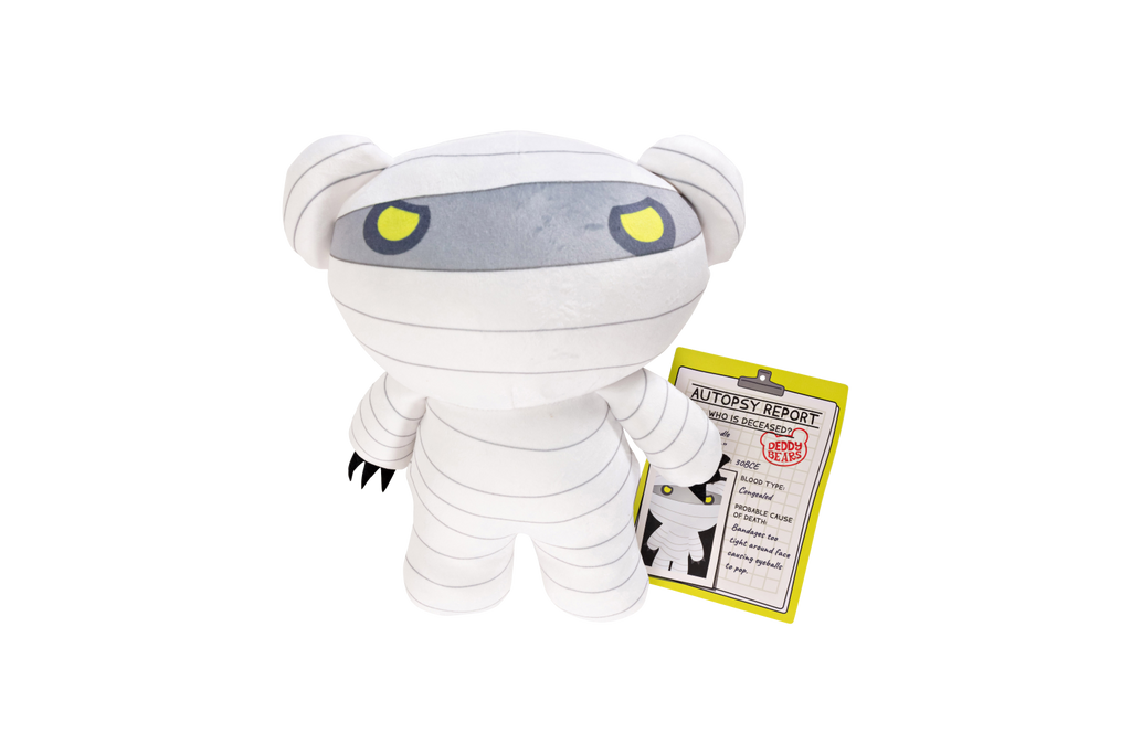 Bundle Deddy Bear in Body Bag