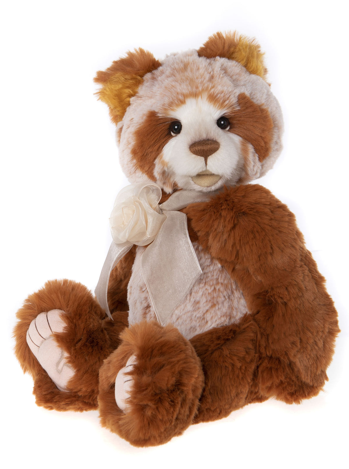 Forty Winks CB232235A