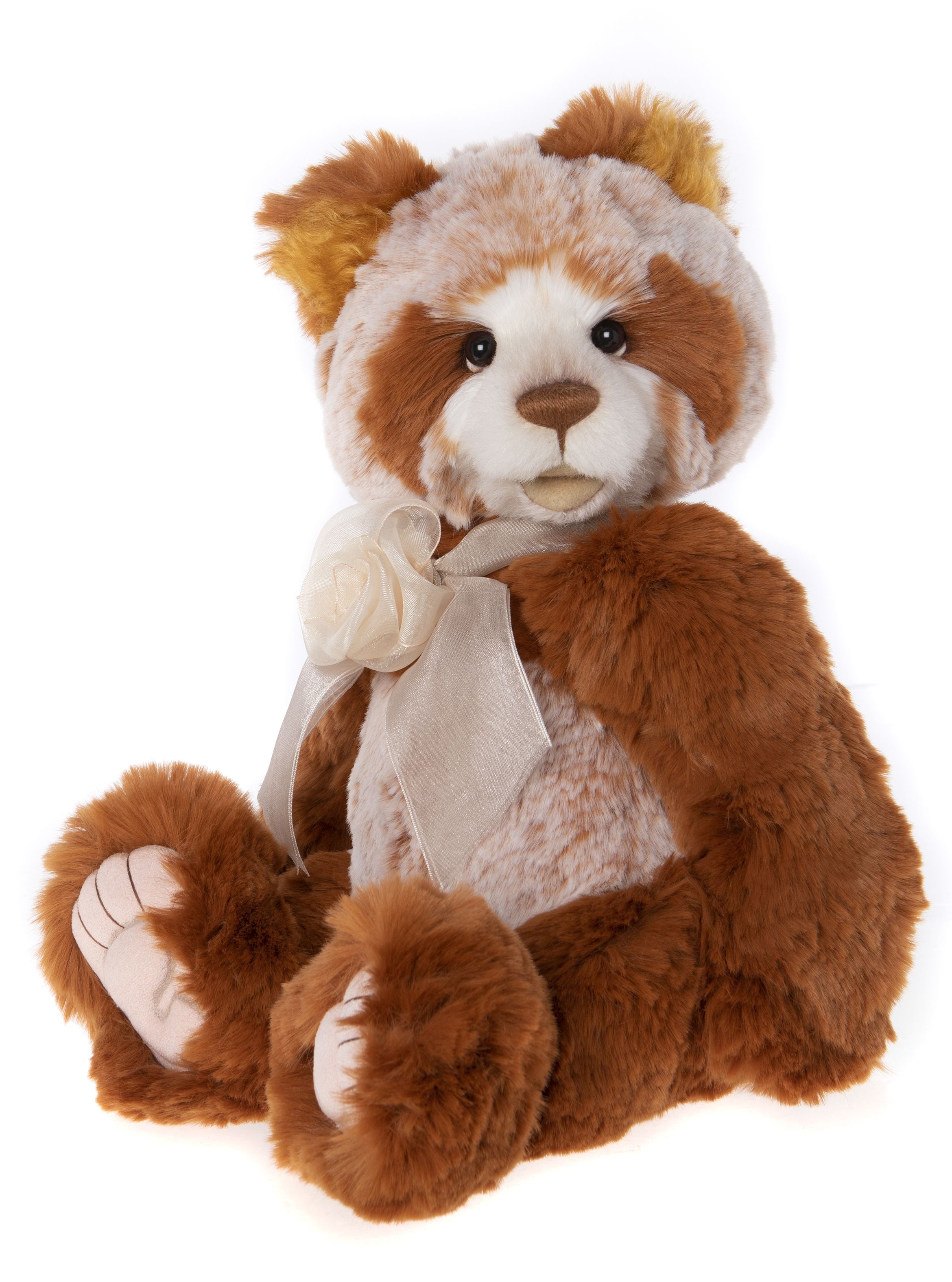 Forty Winks CB232235A