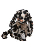 CB246009O | Mollie