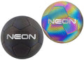 Panel Reflective Football
