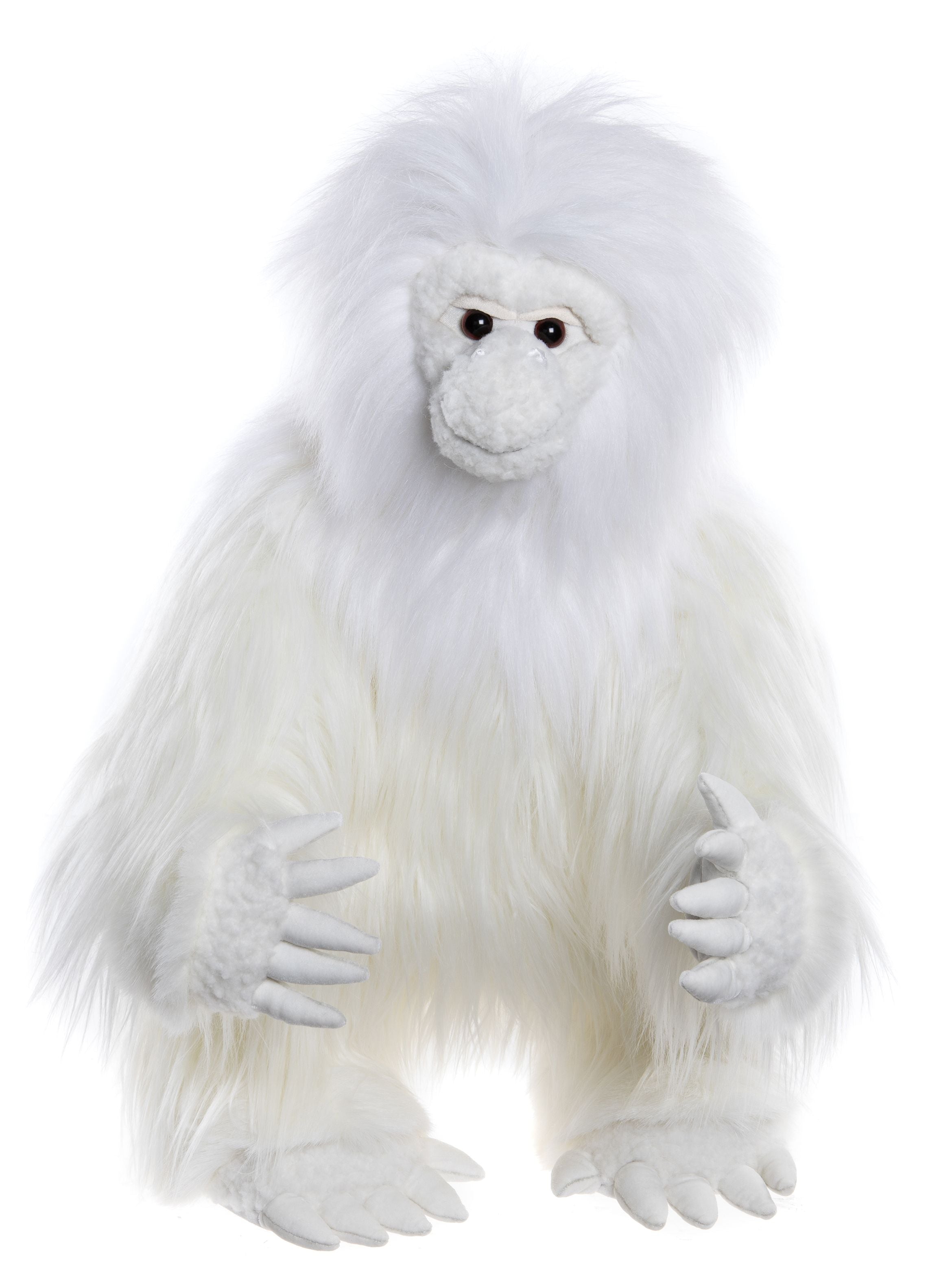 CB245329 | Yeti
