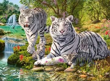 White tiger family | 500pc | 14793