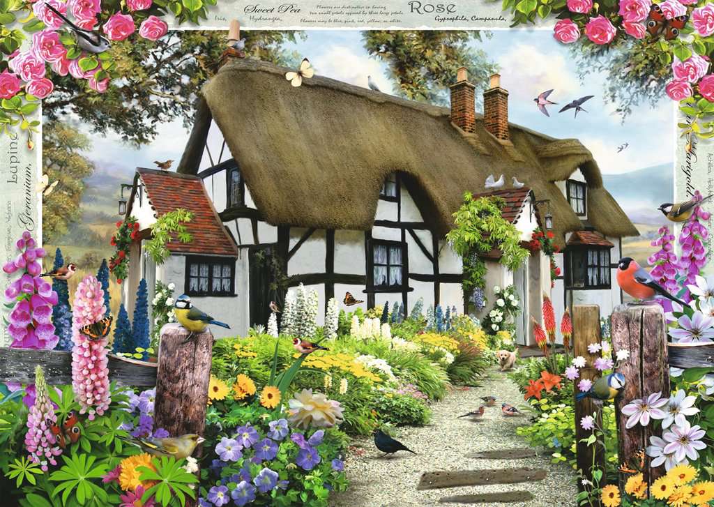 Rose Cottage | 1000pc | 15585