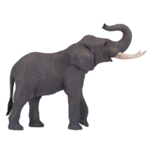 African Elephant | 381005