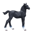 Hanoverian Foal Black New 2020