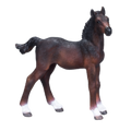 Hanoverian Foal Bay New 2020