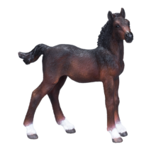 Hanoverian Foal Bay New 2020