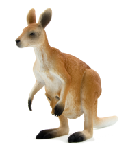 Kangaroo | 381010