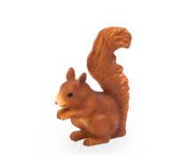 Squirrel Standing | 387031