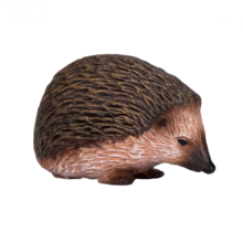 Hedgehog | 387035
