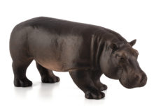 Hippopotamus (Female)