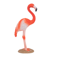 American Flamingo | 387134