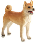 Shiba Inu