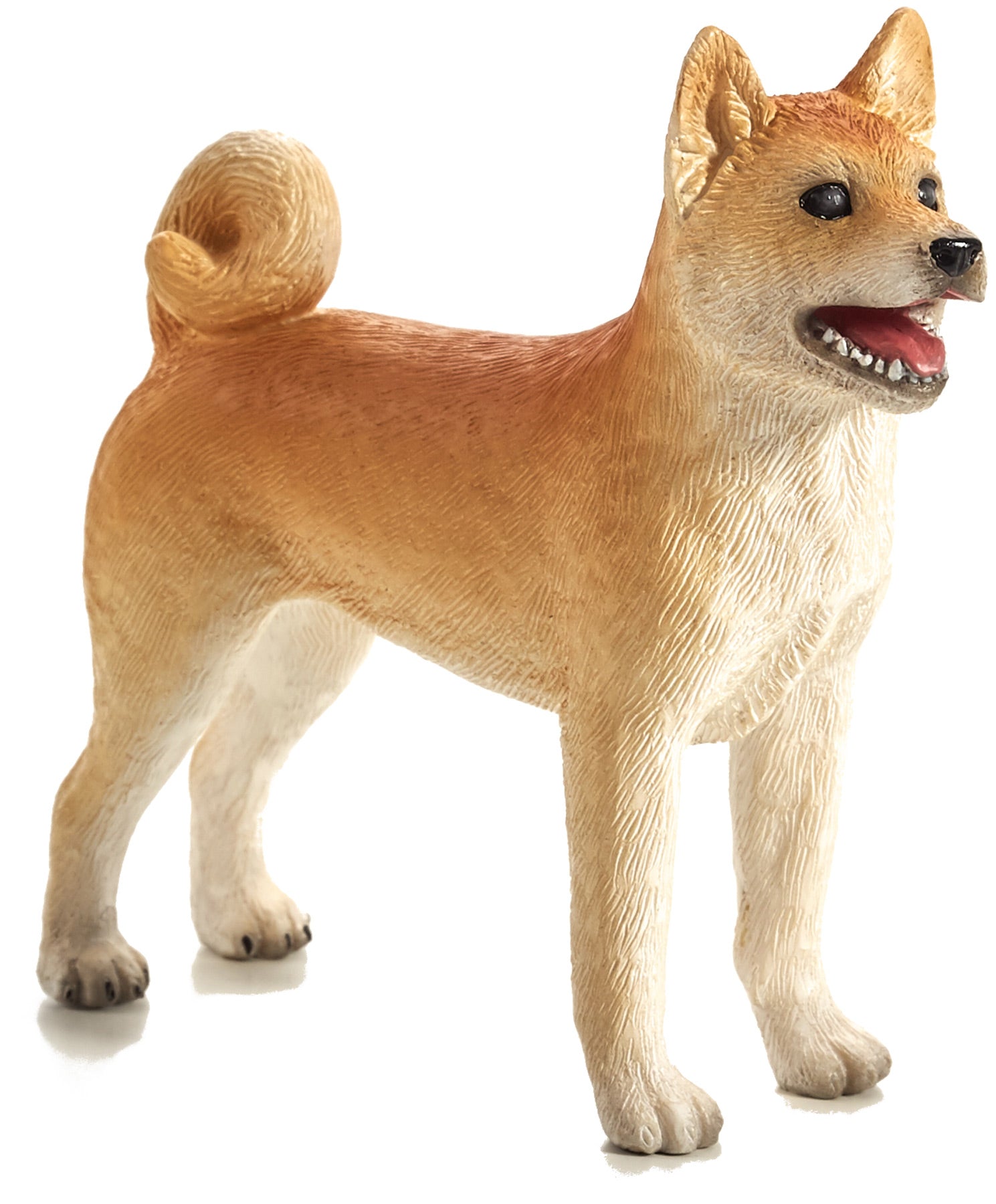 Shiba Inu