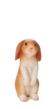 Rabbit Sitting