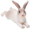 Rabbit Lying