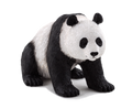 Giant Panda