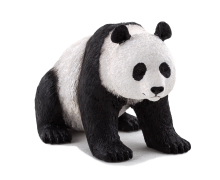 Giant Panda