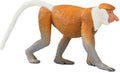 Proboscis Monkey