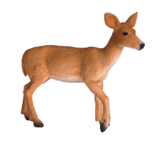 White Tailed Deer Doe | 387185