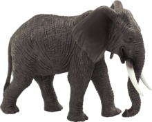 African Elephant | 387189