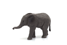 African Elephant Calf | 387190