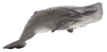 Sperm Whale | 387210
