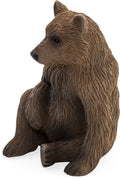 Grizzly Bear Cub