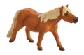 Shetland Pony