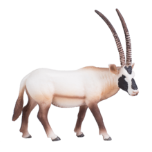 Arabian Oryx | 387242