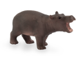 Hippo Baby