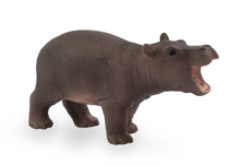 Hippo Baby