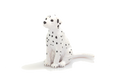 Dalmatian Puppy