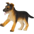German Shepherd Puppy