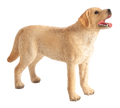 Labrador