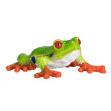 Red Eyed Tree Frog | 387299