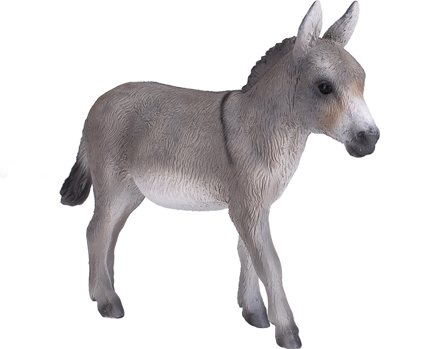 Donkey New 2020