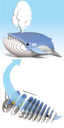 EUGY Blue Whale