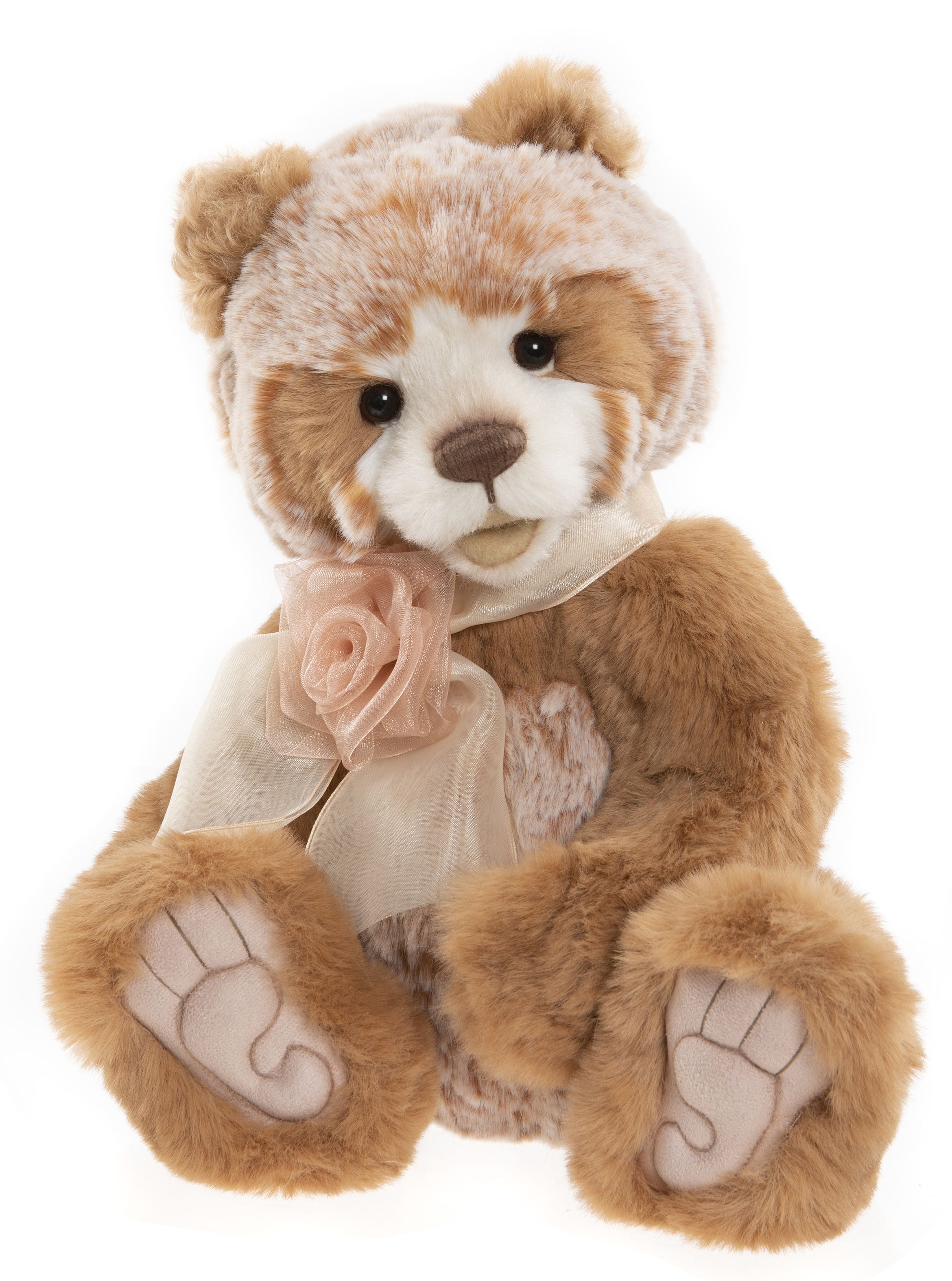 Einstein | CB222235B