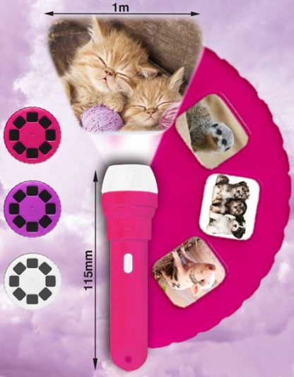 Cute & Cuddly Torch and Projector