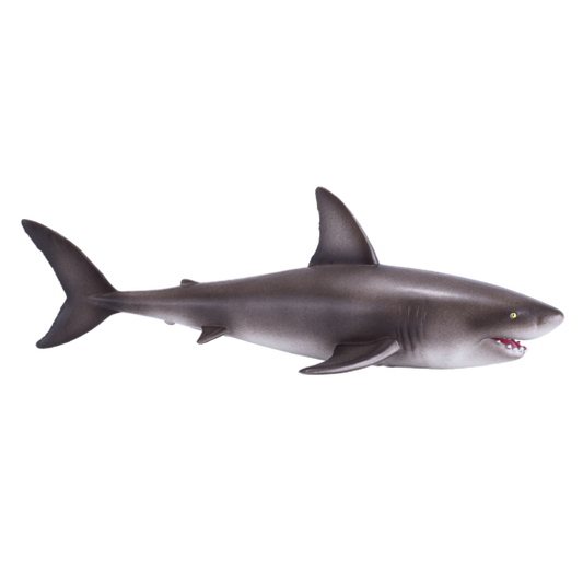 Great White Shark | 381012